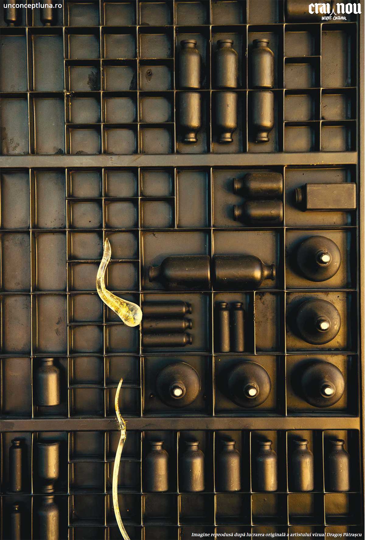 Imagine-reprodusă-după-lucrarea-originală-a-artistului-vizual-Dragoş-Pătraşcu