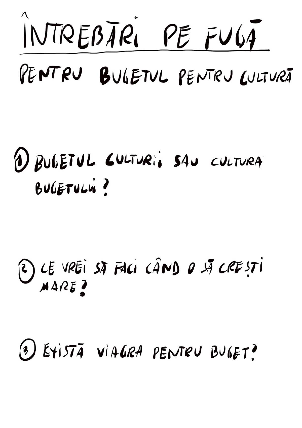 Intrebări-pe-fugă-pentru-bugetul-pentru-cultura