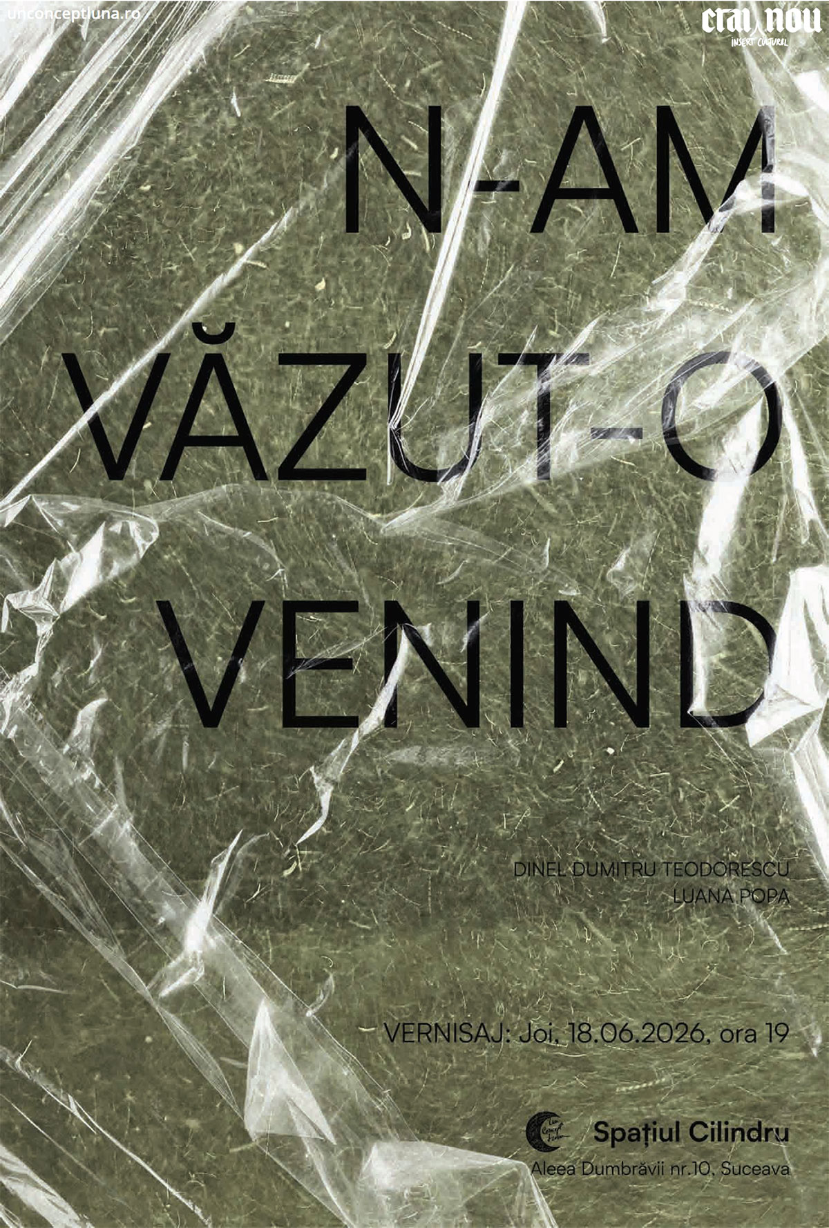 P2-N-AM-VAZUT-O-VENIND-Afis